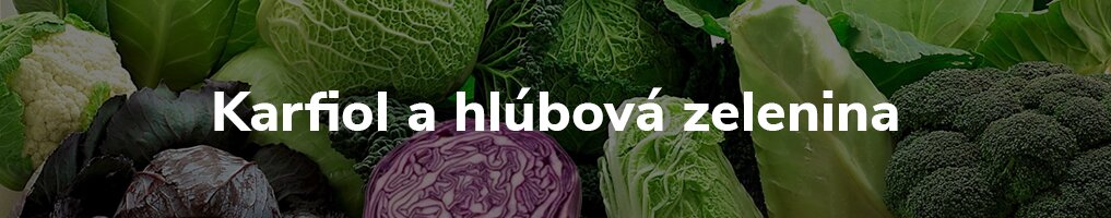 Karfiol a hlúbová zelenina Karfiol a hlúbová zelenina