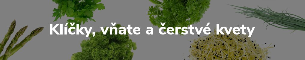 Klíčky, vňate a čerstvé kvety Klíčky, vňate a čerstvé kvety