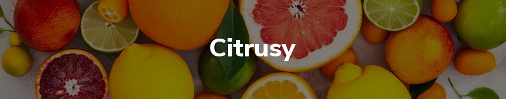Citrusy Citrusy