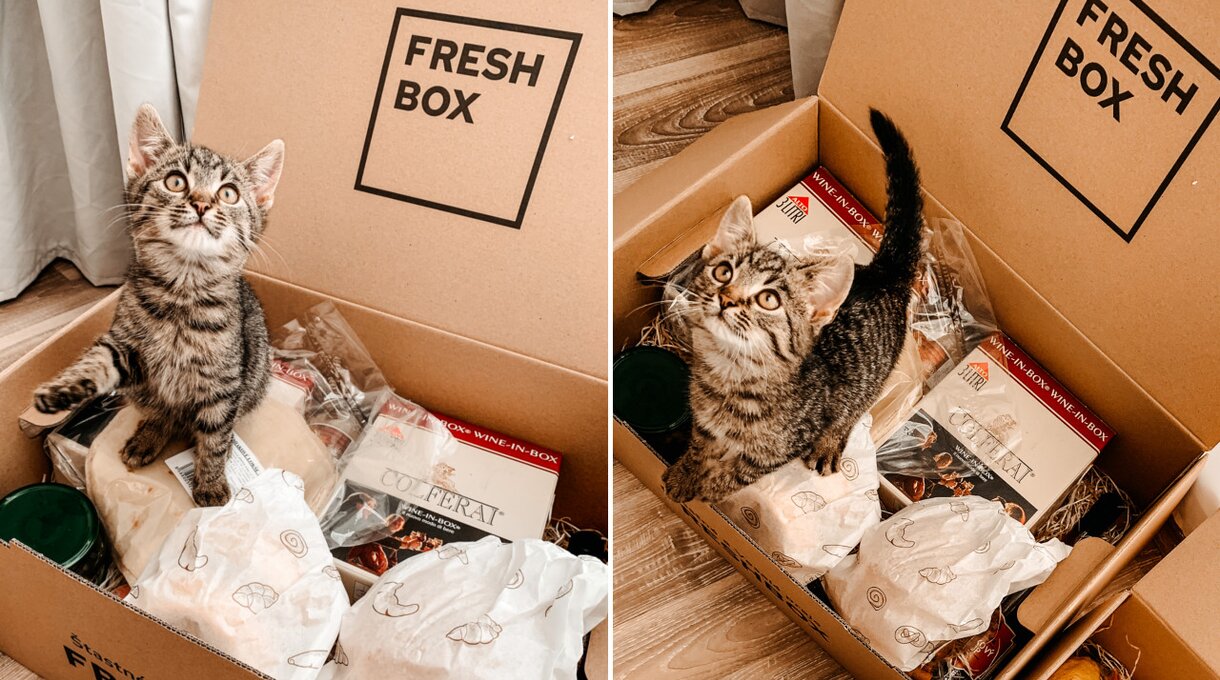 Zapojte sa do našej súťaže o poriadne naložené vianočné boxy!