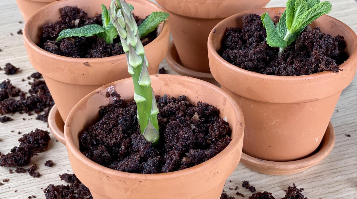 Jarný púčik Jarný púčik