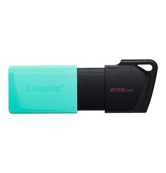 256GB Kingston USB 3.2 (gen 1) DT Exodia M