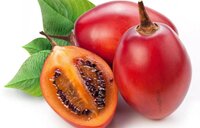 Tamarillo