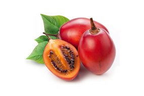 Tamarillo