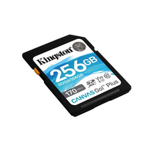256GB SDXC Kingston U3 V30 170/90MB/s