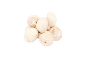 Šampiňóny voľné SK stredné