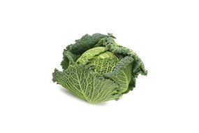 Kel hlávkový SK Kel hlávkový SK