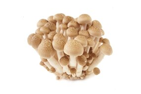 Shi mei hnedé 150g