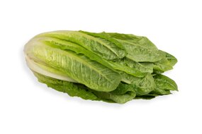 Rímsky šalát DE kal. 12 Rímsky šalát DE kal. 12