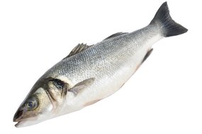 Ryba Morský vlk chladený SK (cca 500g) Ryba Morský vlk chladený SK (cca 500g)