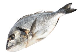 Ryba Pražma zlatá chladená (cca 400g) SK