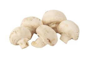 Hríby Šampiňóny biele  Slovensko 500 g Hríby Šampiňóny biele  Slovensko 500 g