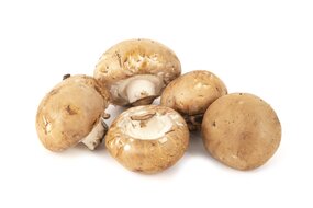 Hríby Šampiňóny hnedé Slovensko 500g Hríby Šampiňóny hnedé Slovensko 500g