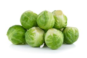 Kel ružičkový Belgicko (na obj.)