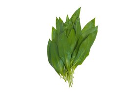 Medvedí cesnak 100g