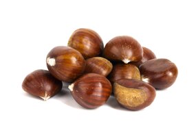 Gaštany jedlé IT Gaštany jedlé IT