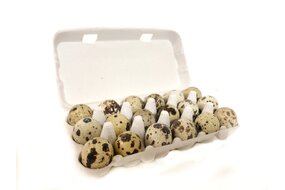 Vajcia prepeličie (12ks/bal.) Vajcia prepeličie (12ks/bal.)