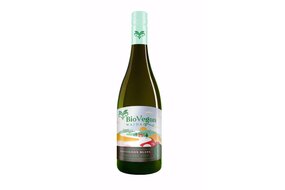 Víno Sauvignon blanc BIO Vegan 0,75 l, suché biele Víno Sauvignon blanc BIO Vegan 0,75 l, suché biele