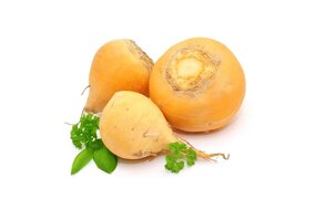 Repa zlatá Repa zlatá