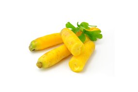 Mrkva žltá Mrkva žltá