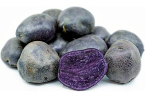 Zemiaky fialové violet Zemiaky fialové violet