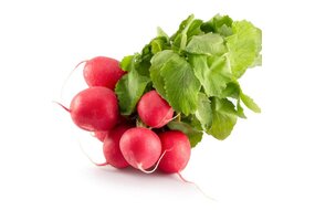 Reďkovka červená KS Reďkovka červená KS