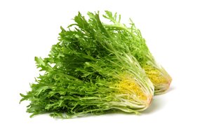 Frisse zelený kučeravý šalát Frisse zelený kučeravý šalát