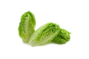 Rímsky šalát BABY 2 ks Rímsky šalát BABY 2 ks