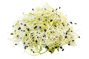 Klíčky pórové 50 g Klíčky pórové 50 g