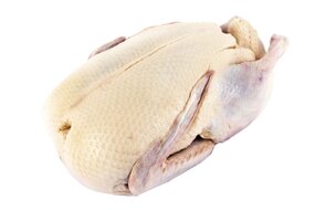 Kačica 2400 g bez drobov, mrazená Kačica 2400 g bez drobov, mrazená