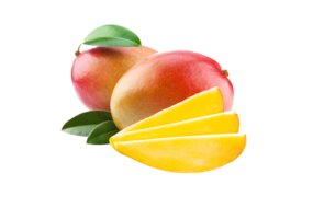 Mango tvrdé