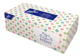Hygienické vreckovky box 2-vrstvové 200 ks Linteo Hygienické vreckovky box 2-vrstvové 200 ks Linteo