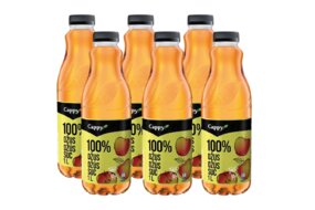 1x kartón - Džús Cappy 100% Jablko 1 l 6 ks 1x kartón - Džús Cappy 100% Jablko 1 l 6 ks