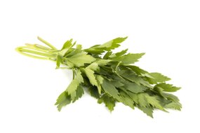 Bylinky - Ligurček 30 g zväzok