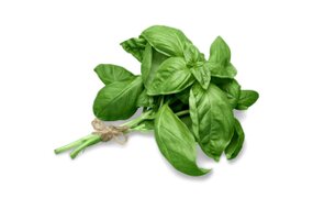 Bylinky - Bazalka zelená 30 g zväzok Bylinky - Bazalka zelená 30 g zväzok