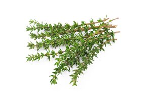 Bylinky - Tymian 30 g zväzok Bylinky - Tymian 30 g zväzok