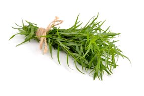 Bylinky - Estragón 30 g zväzok Bylinky - Estragón 30 g zväzok