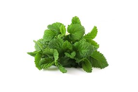 Bylinky - Medovka 30 g zväzok