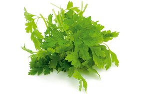 Bylinky - Trebuľka 30 g zväzok Bylinky - Trebuľka 30 g zväzok