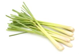 Bylinky - Citrónová tráva 50 g