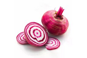 Repa ružová Chioggia Holandsko