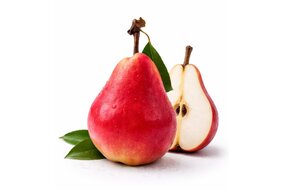 Hruška letná "RED WILLIAMS" Hruška letná "RED WILLIAMS"