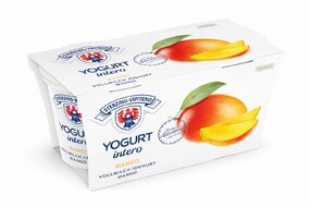 Jogurt plnotučný mango 2 x 125 g Sterzing-Vipiteno Jogurt plnotučný mango 2 x 125 g Sterzing-Vipiteno