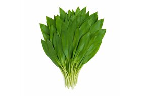 Medvedí cesnak 100 g