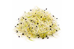 Klíčky pórové 50 g, NL