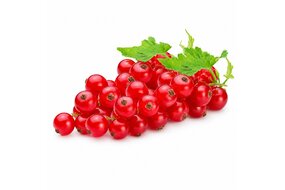Ríbezle 125 g vanička