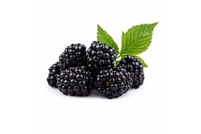 Černice 125 g vanička Černice 125 g vanička