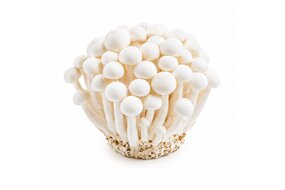 Shi mei hríby biele 150 g