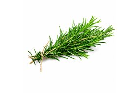 Bylinky - Rozmarín 30 g zväzok Bylinky - Rozmarín 30 g zväzok