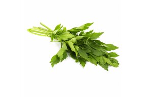 Bylinky - Ligurček 30 g zväzok Bylinky - Ligurček 30 g zväzok
